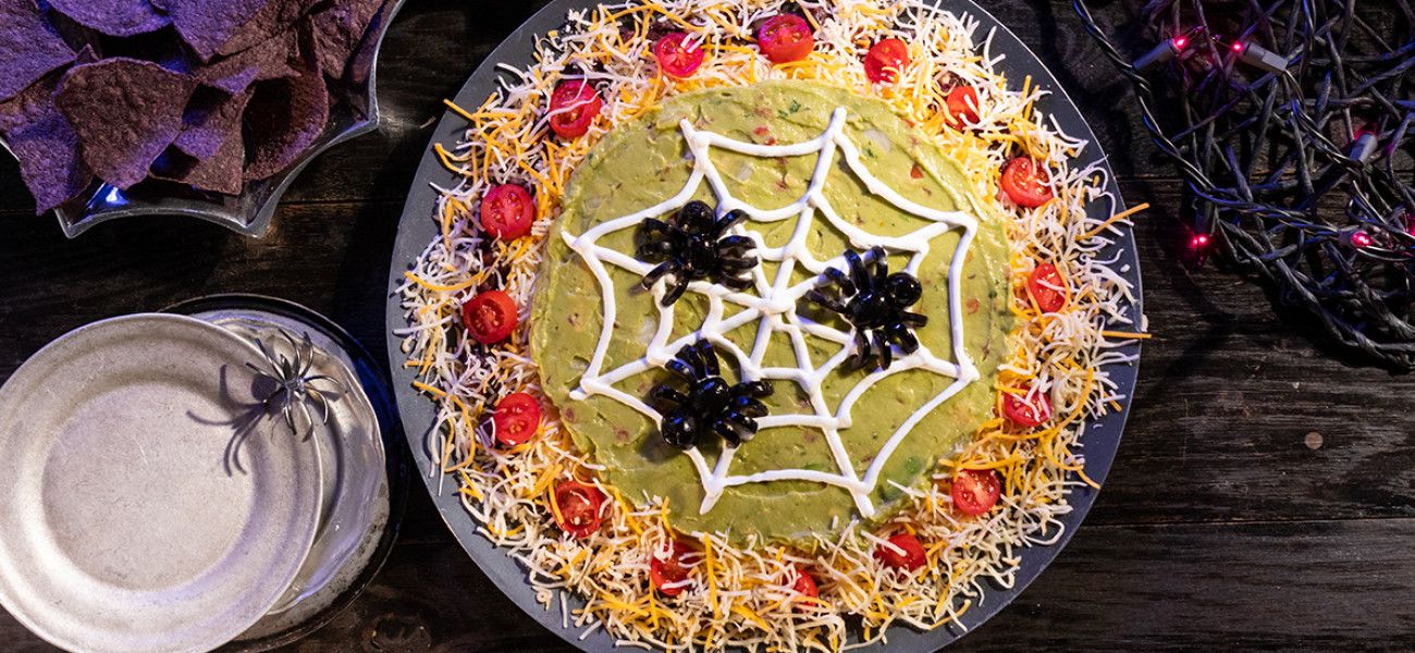 spiderwebdip