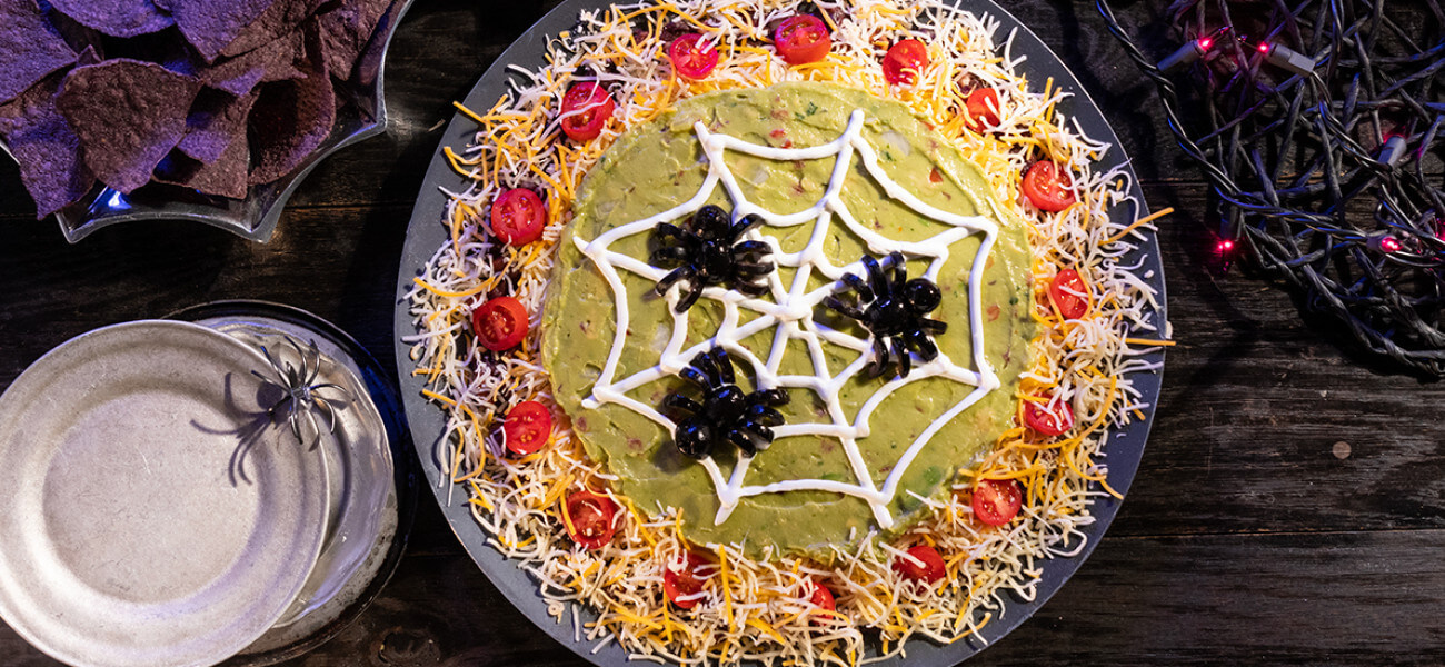 spiderwebdip