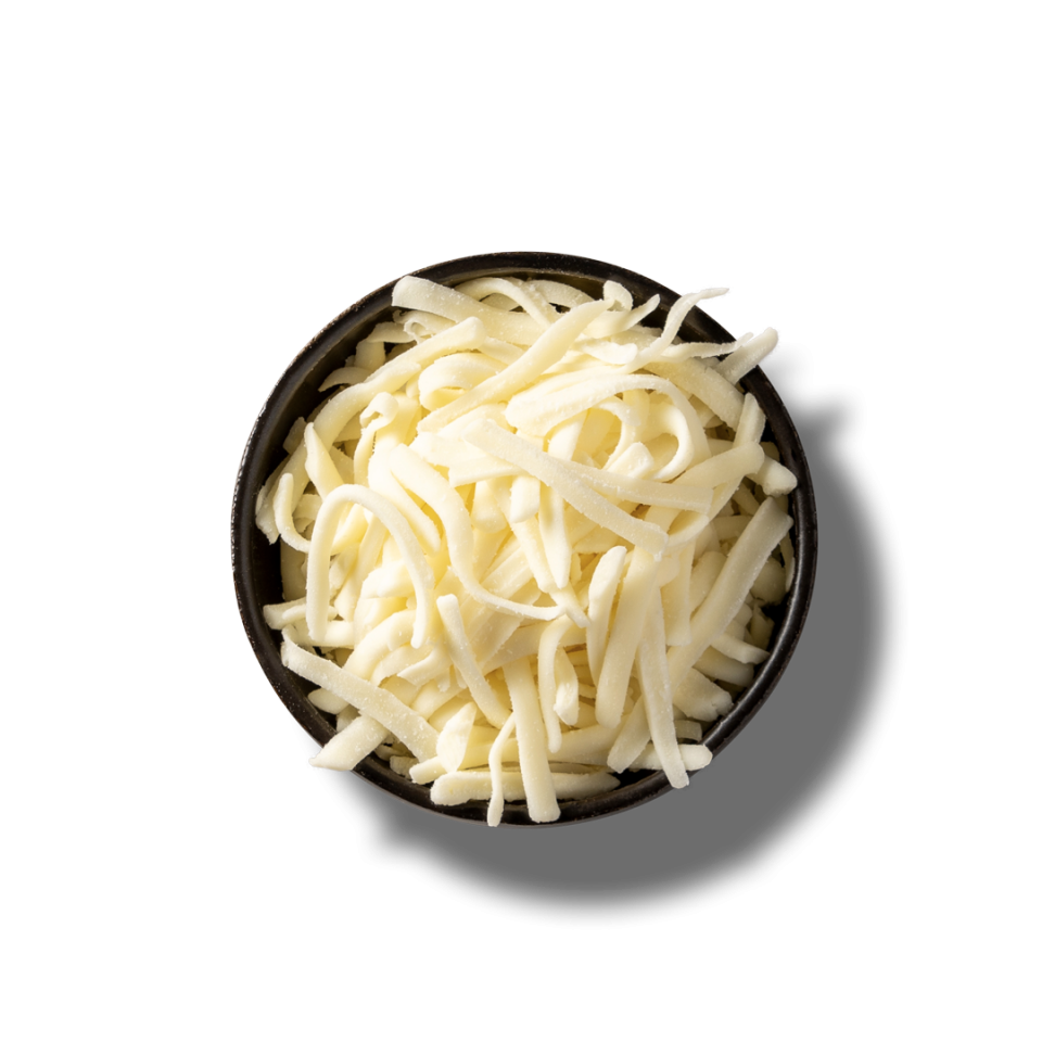 mozz v2