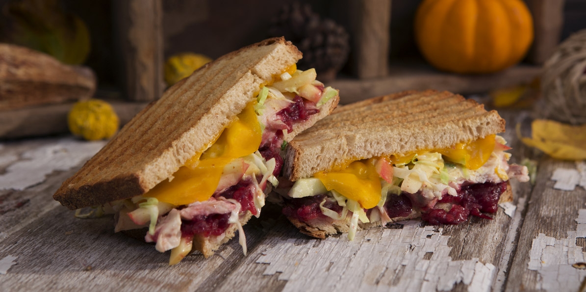 Chicken Cheddar Panini with Cranberry Apple Slaw MainWebsite Hero