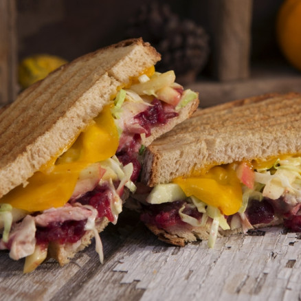 Chicken Cheddar Panini with Cranberry Apple Slaw MainWebsite Hero