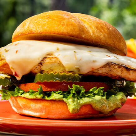 Proj9715 Summer Grilling Recipes to Website Website Recipe Dill Pickle Chicken