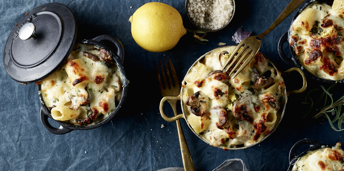 Shreds Mac Cheese website